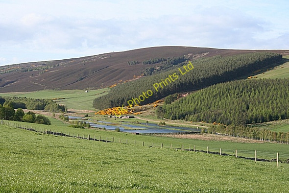 Photo 6"x4" Glen of Rothes Rothes c2007