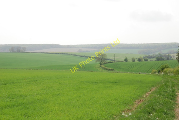 Photo 6"x4" Contours of Canada Farm Winterborne Stickland c2007