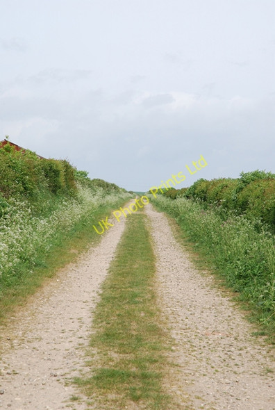 Photo 6"x4" Track from Winterborne Clenston Winterborne Clenston c2007