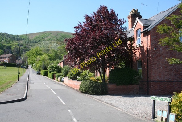 Photo 6"x4" Assarts Road Brand Green\/SO7641 c2007