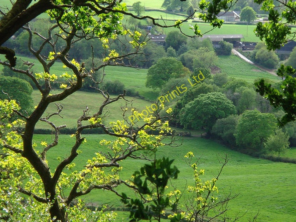 Photo 6"x4" Furzeleigh Down Farm Raymond's Hill c2007
