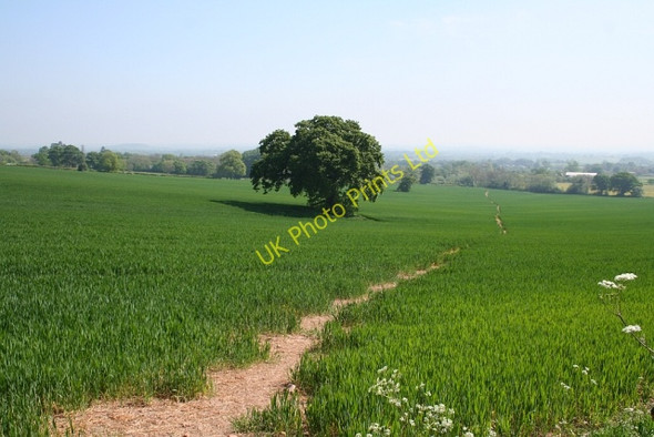 Photo 6"x4" Footpath to Upper Welland Upper Welland c2007