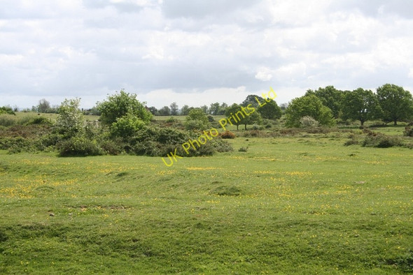 Photo 6"x4" Brambles and Buttercups, Castlemorton Common Marl Bank c2007