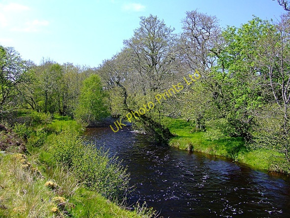 Photo 6"x4" Strath Carnaig River Little Torboll c2007 P2