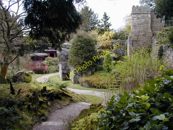 Photo 6"x4" Biddulph Grange Garden Biddulph c2004 P2