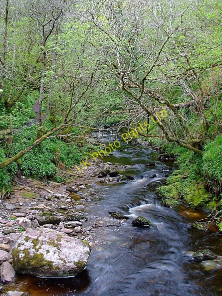 Photo 6"x4" The Golspie Burn Backies\/NC8302 c2007