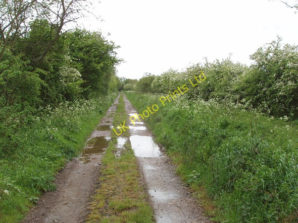 Photo 6"x4" Track to former pumping station Quarrendon c2007