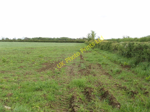 Photo 6"x4" Grass field by Granborough road Granborough c2007