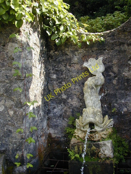 Photo 6"x4" Glenveagh Castle gardens Church Hill\/C0615 c2003