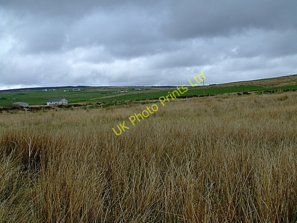 Photo 6"x4" Farm Land Upper Lybster c2007