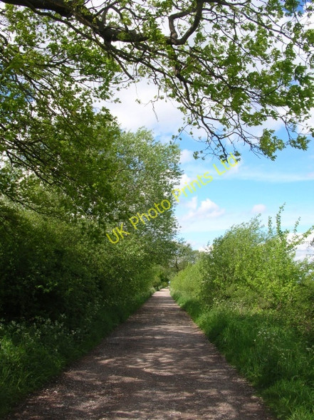 Photo 6"x4" Lane to Thickpenny Farm Cock Hill\/SE5155 c2007