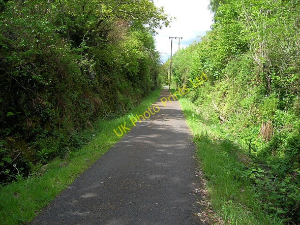 Photo 6"x4" Cycleway Through Cuil Wood Stronord c2007