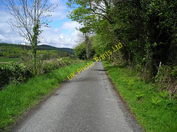 Photo 6"x4" Minor Road Near Strathmaddie Stronord c2007