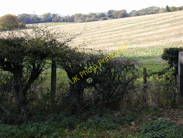 Photo 6"x4" Near Forestside Deanlane End c2003