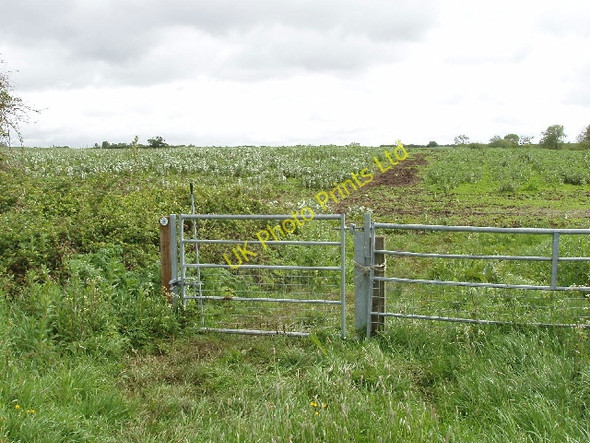 Photo 6"x4" Bridleway gate to bean field Rowsham c2007