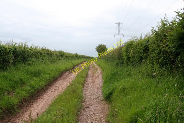 Photo 6"x4" Old Track towards Spurtree Boraston c2007