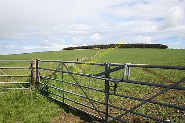 Photo 6"x4" Lodge Hill Cornhill\/NJ5858 c2007