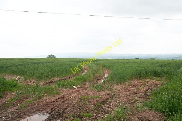 Photo 6"x4" Footpath to Highwood Highwood\/SO6566 c2007