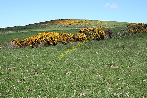 Photo 6"x4" Wether Hill Ramsburn c2007 P1
