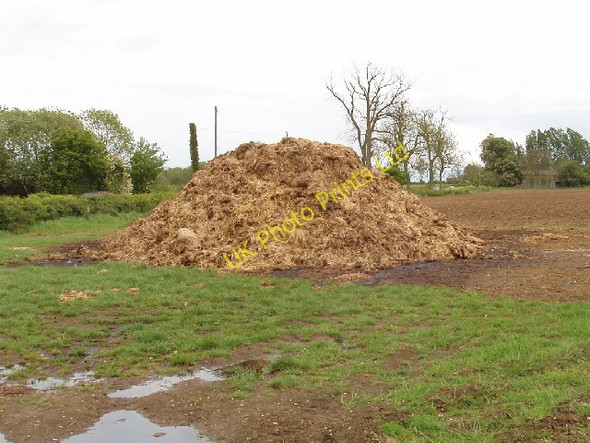 Photo 6"x4" Dung heap Granborough c2007