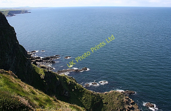 Photo 6"x4" More Head Crovie c2007