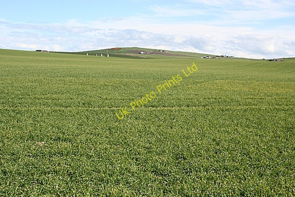 Photo 6"x4" Mains of Melrose Longmanhill c2007 P1