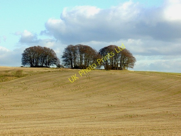 Photo 6"x4" Barrows on Overton Hill West Kennett c2004