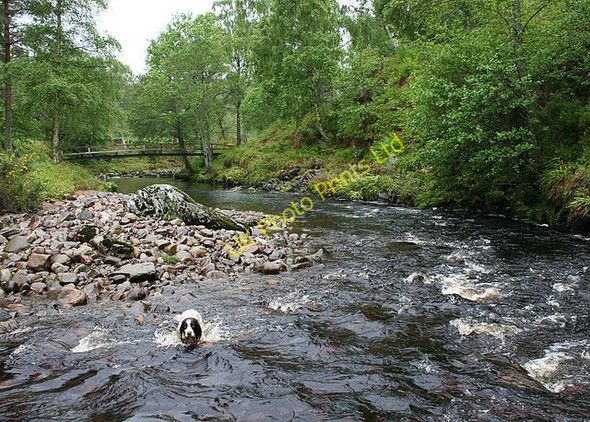 Photo 6"x4" Footbridge over the River Divie. Carnach\/NJ0048 c2007