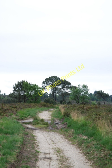Photo 6"x4" Track across Canford Heath Canford Heath\/SZ0294 c2007
