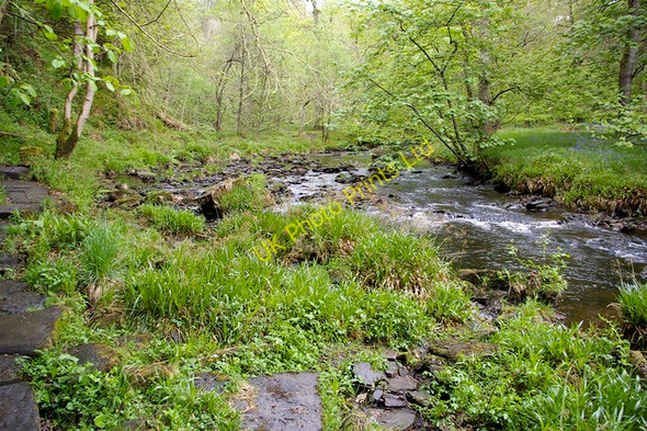 Photo 6"x4" Hebden Water, upstream from Gibson Mill Shackleton c2007