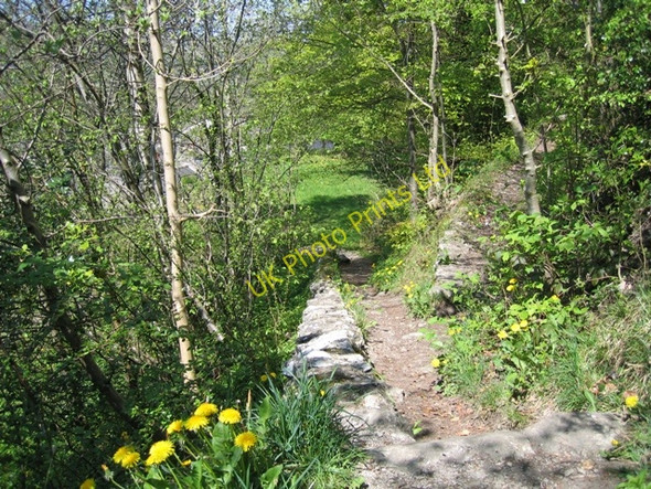 Photo 6"x4" Footpath on Castlebergh Settle c2007