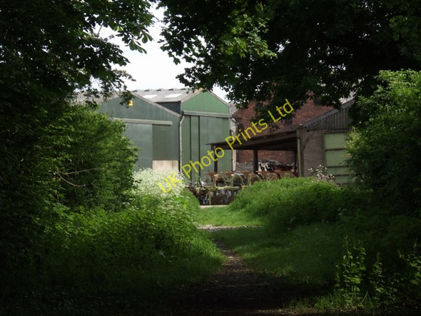 Photo 6"x4" Lapley Wood Farm Lapley c2007