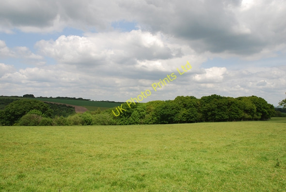Photo 6"x4" Park Wood Ibberton c2007