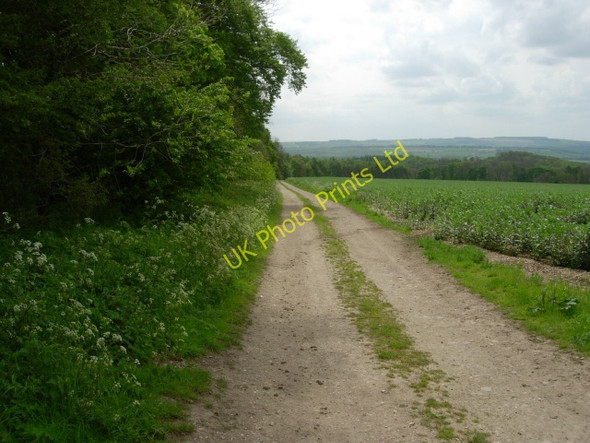 Photo 6"x4" The Wolds Way running on track alongside Screed Plantation Duggleby c2007