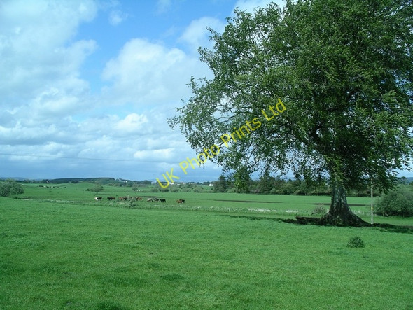 Photo 6"x4" Pastoral scene Lochmaben c2007