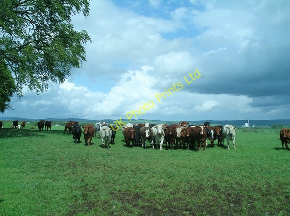 Photo 6"x4" Reception committee Lochmaben c2007