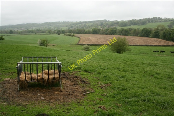 Photo 6"x4" Across Nidderdale Dacre\/SE1960 c2007