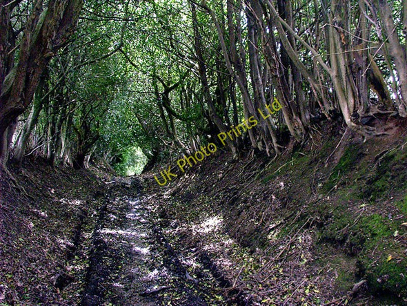 Photo 6"x4" Ancient footpath Broadbottom c2007