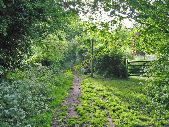 Photo 6"x4" Footpath, Shaftesbury, Dorset. Shaftesbury c2007