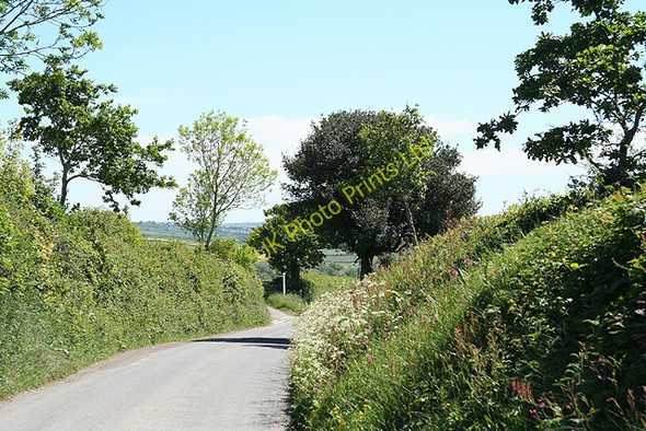 Photo 6"x4" Chittlehampton: lane near Higher Langaton Furze\/SS6426 c2007