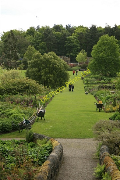 Photo 6"x4" Main borders, RHS Harlow Carr Harrogate c2007