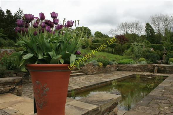 Photo 6"x4" Edwardian Garden, RHS Harlow Carr Harrogate c2007