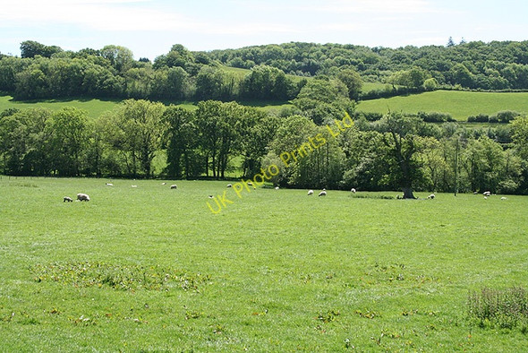 Photo 6"x4" Swimbridge: near Yeoland House Riverton c2007