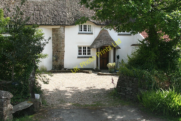 Photo 6"x4" Swimbridge: Polly Cottage Stowford\/SS6226 c2007