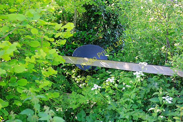Photo 6"x4" Satellite dish in Kilmeston Kilmeston c2007