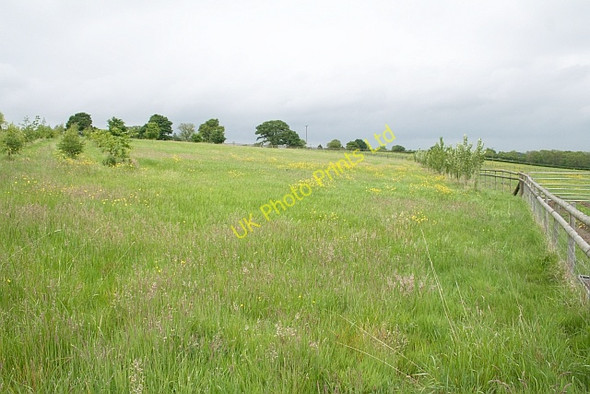 Photo 6"x4" Horse Pasture near Danemoor Farm Marl Bank c2007