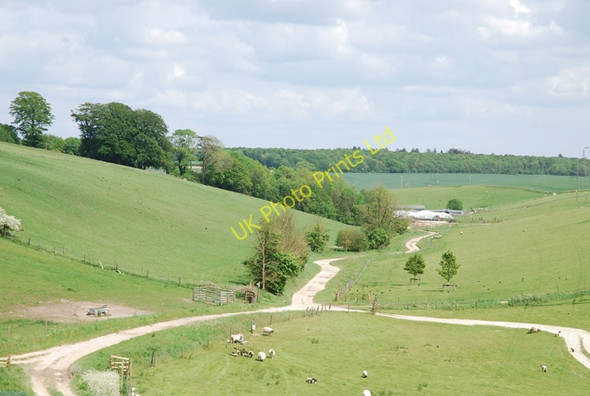 Photo 6"x4" Winding Bridleways of South Down Hedge End\/ST8206 c2007