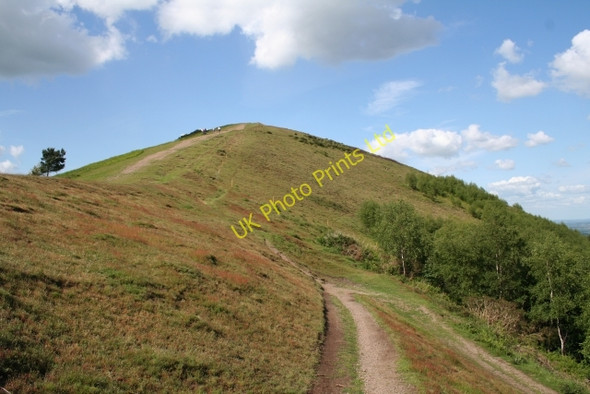 Photo 6"x4" Hairpin Path near Pinnacle Hill Brand Green\/SO7641 c2007