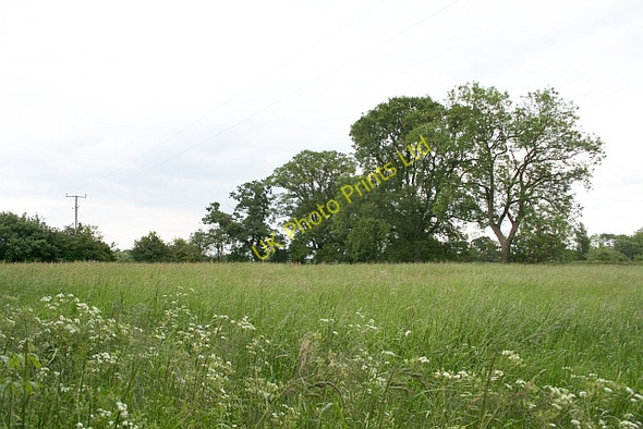 Photo 6"x4" Meadow, Days Farm Marl Bank c2007 P1