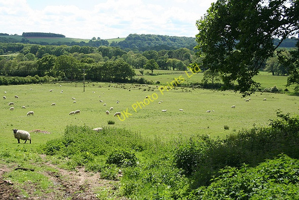 Photo 6"x4" St Giles on the Heath: in the Tamar Valley Bridgetown\/SX3489 c2007